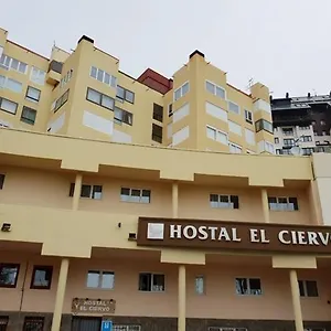 El Ciervo Guest house